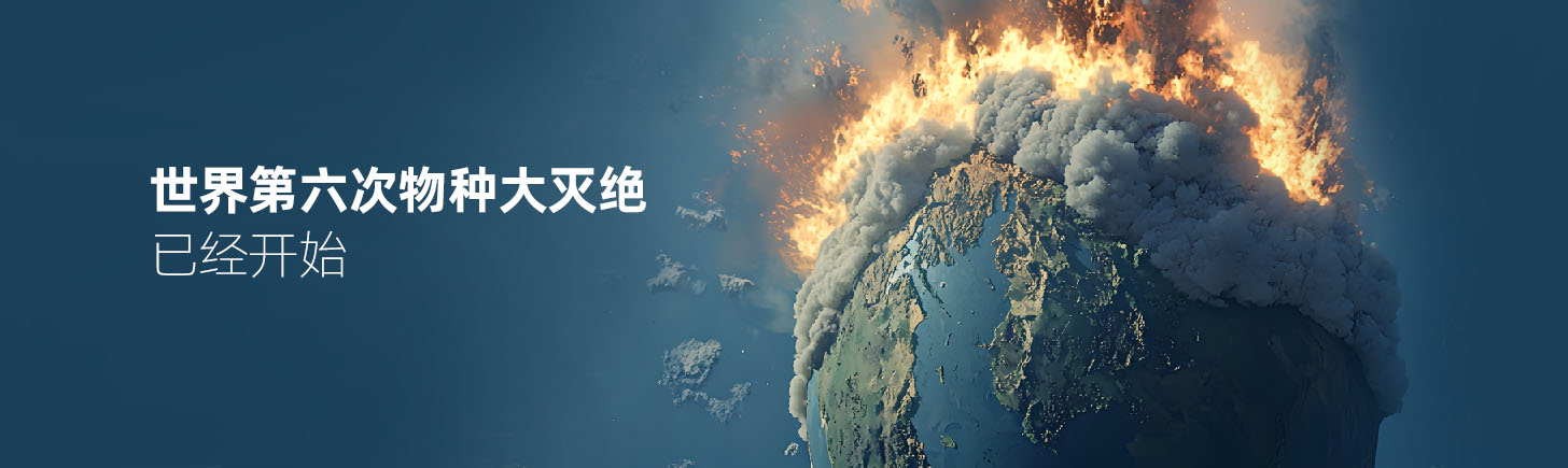 第六次大灭绝