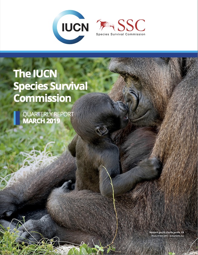 世界自然保护联盟IUCN：SSC Quarterly Report 2019 March
