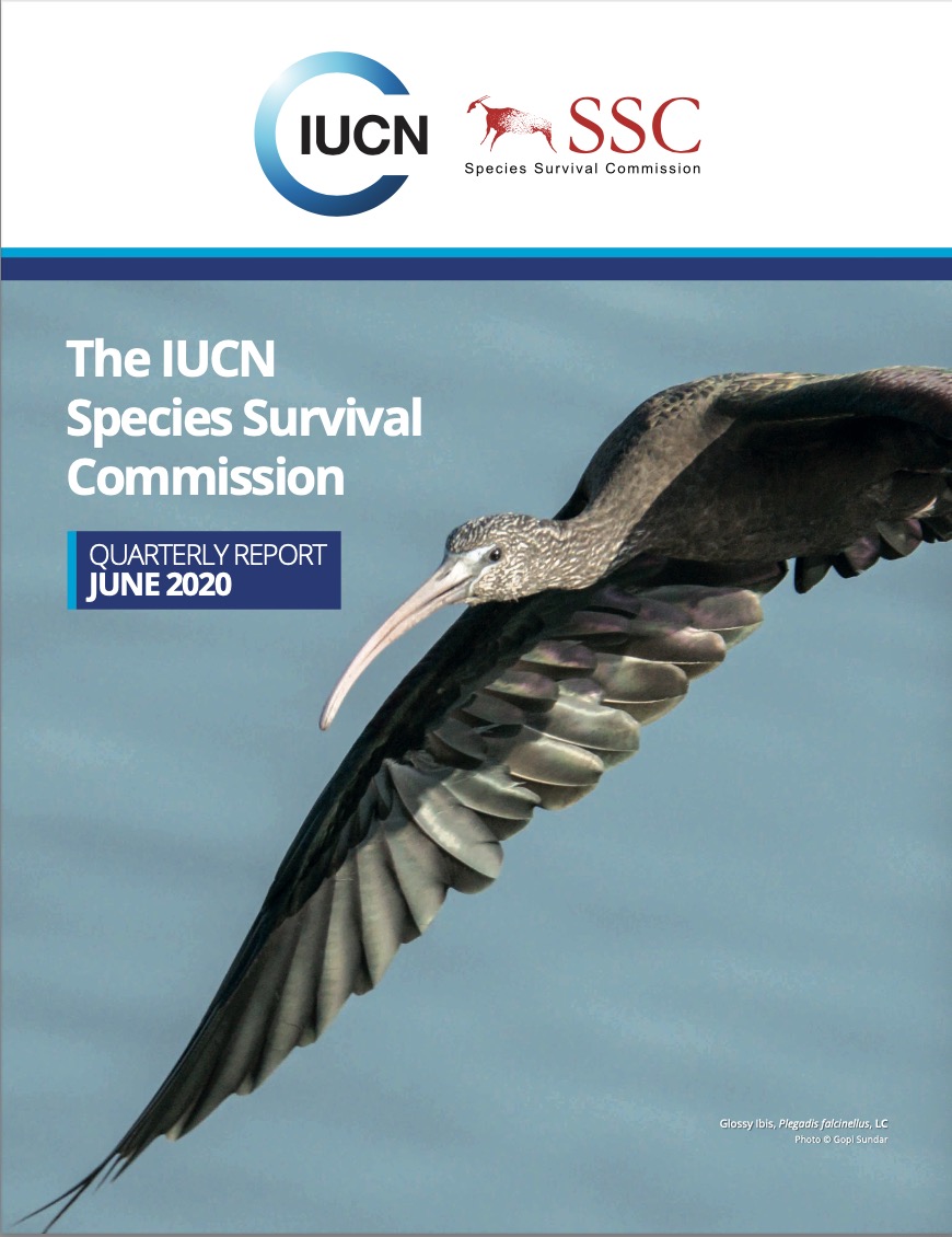 世界自然保护联盟IUCN：SSC Quarterly Report 2020 June