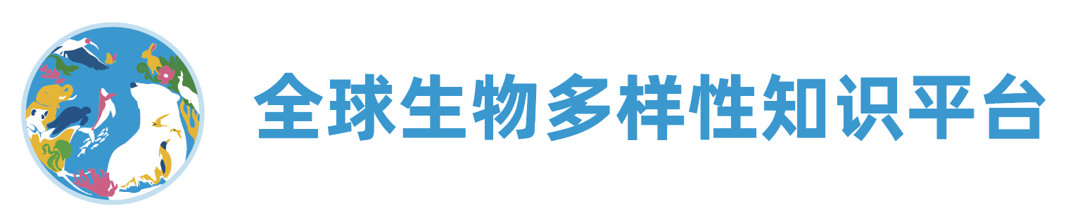 描述